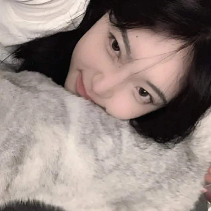 火凤燎原第二季