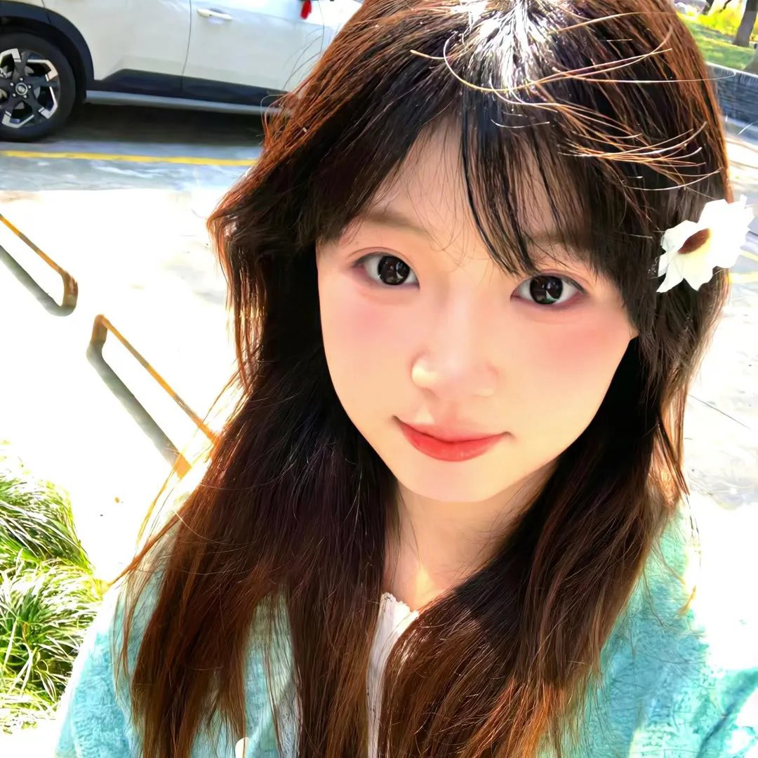 阁楼大象
